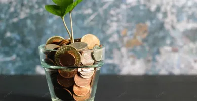 CZK to USD Exchange Rate and Its Effects on Trade Partnerships