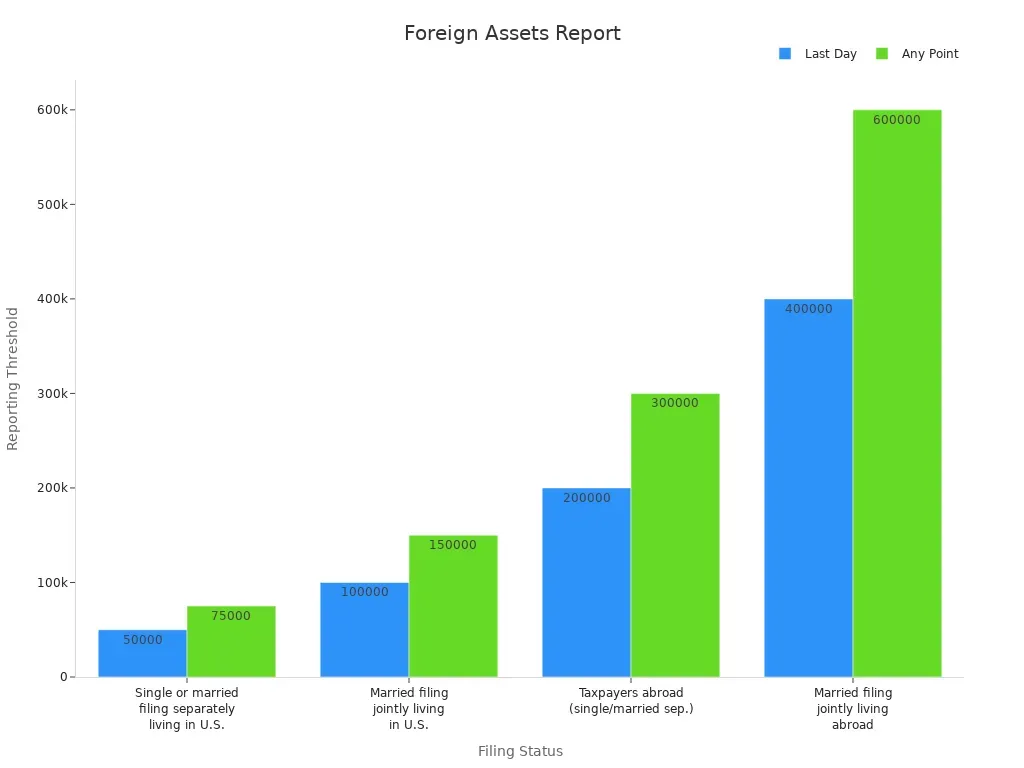 Foreign-Income Declaration Form