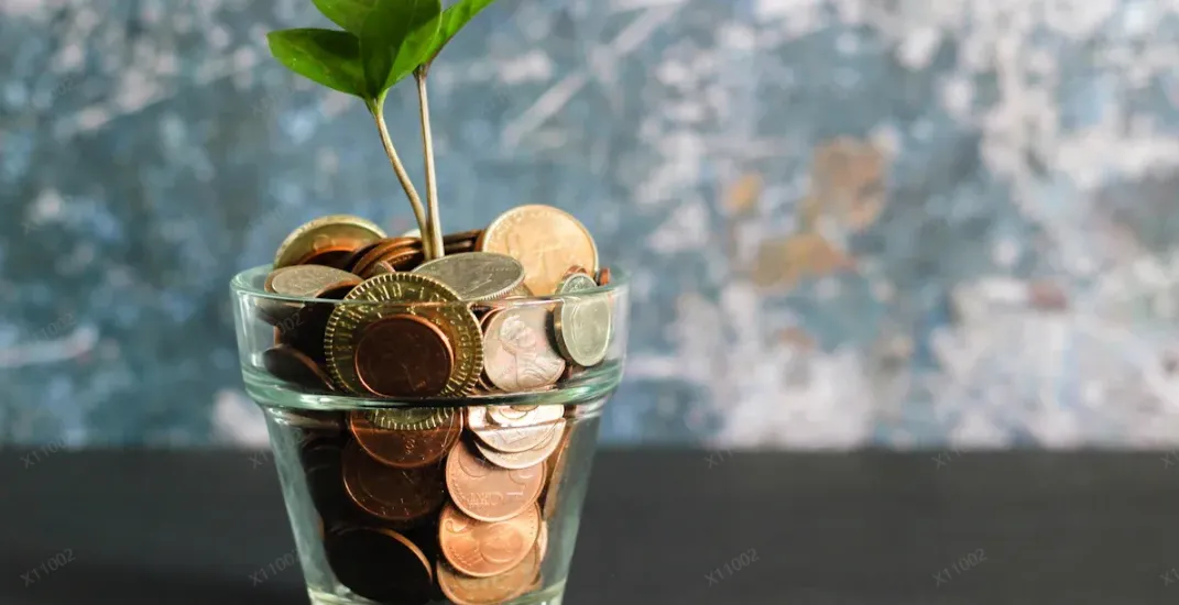 exchange rate