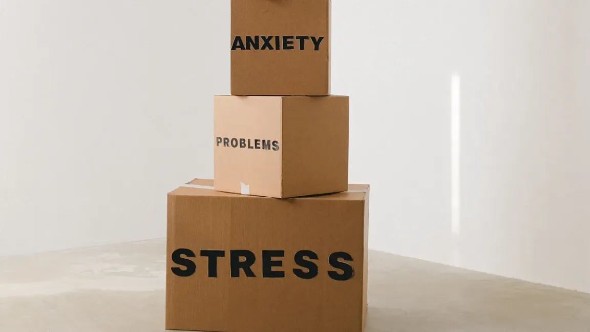 CTN/CTNS(carton/cartons)