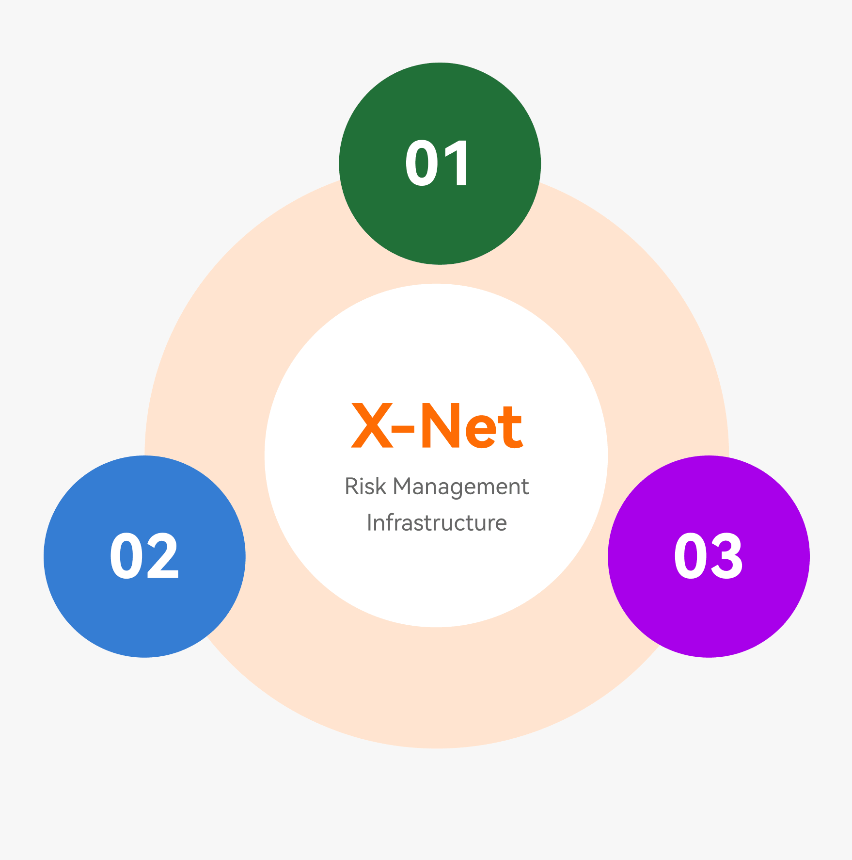 X-Net Risk Management Infrastructure